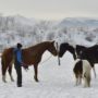 Kingston Ranch Kowary