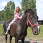 Kingston Ranch Kowary