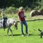 Kingston Ranch Kowary