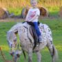 Kingston Ranch Kowary
