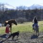 Kingston Ranch Kowary