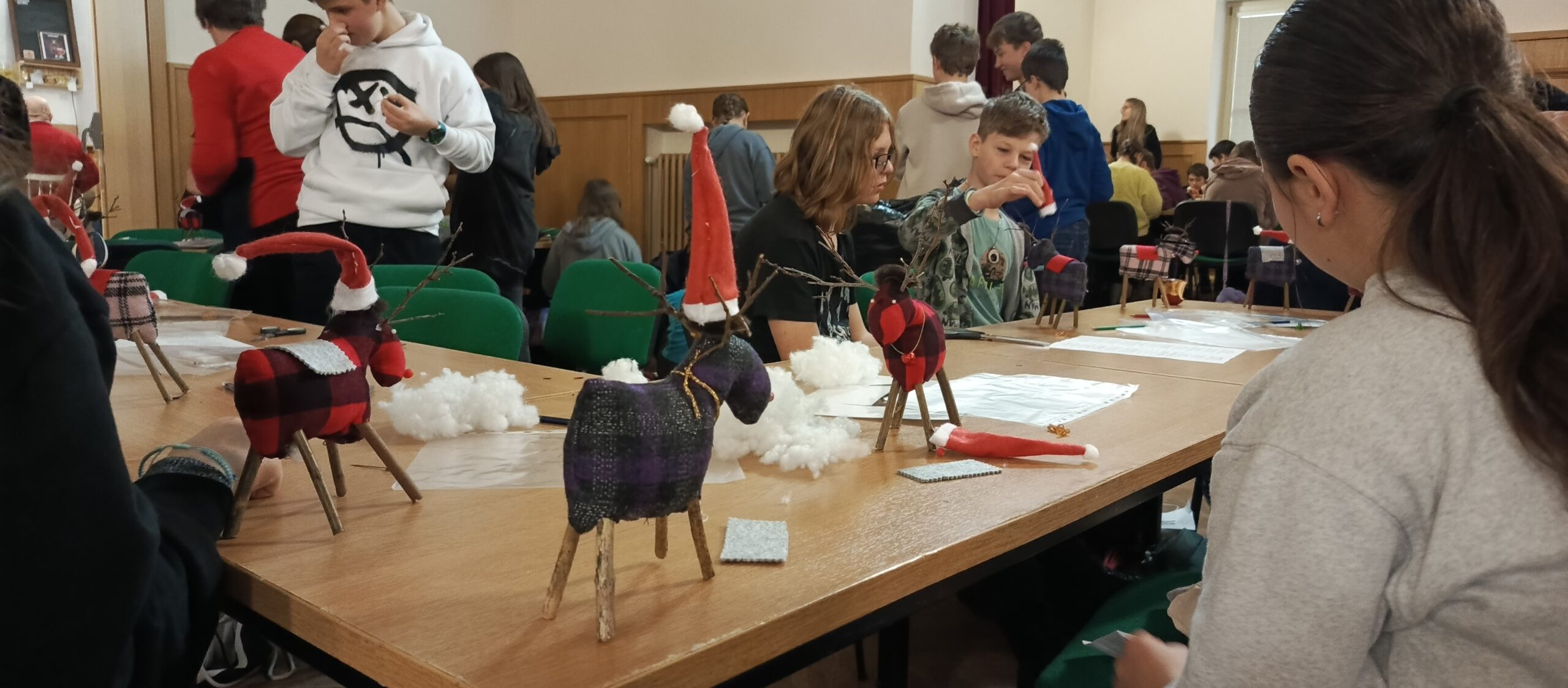 IMG_20241129_094456_432